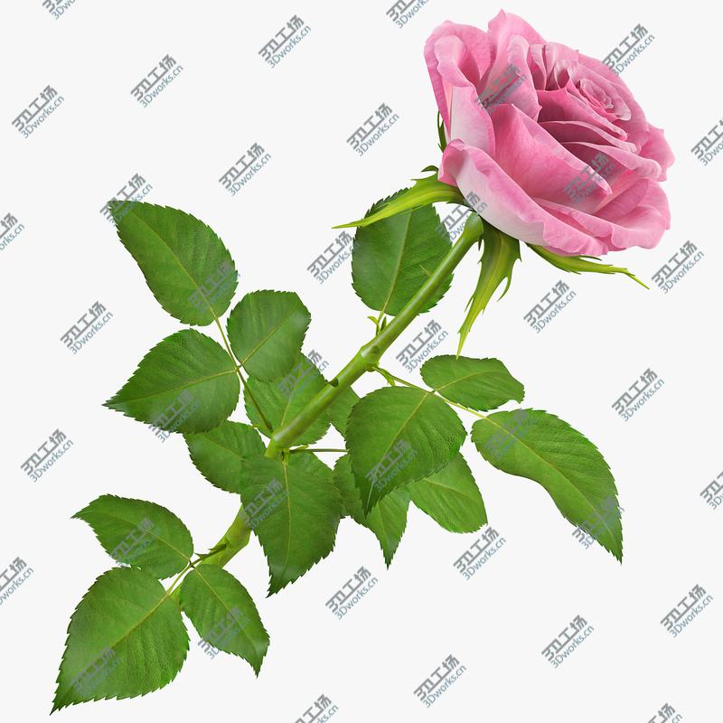 images/goods_img/20210319/Rose 15/1.jpg
